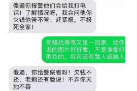 松北松北的要账公司在催收过程中的策略和技巧有哪些？